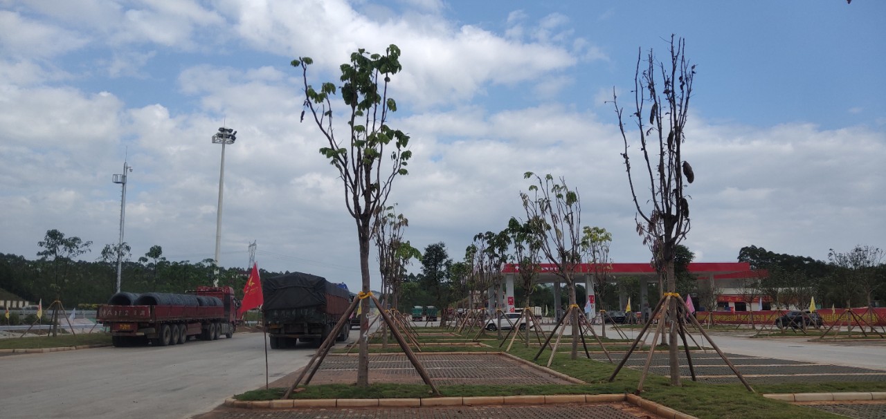 黄屋屯服务区国庆后改名了,新名字竟然这么直接