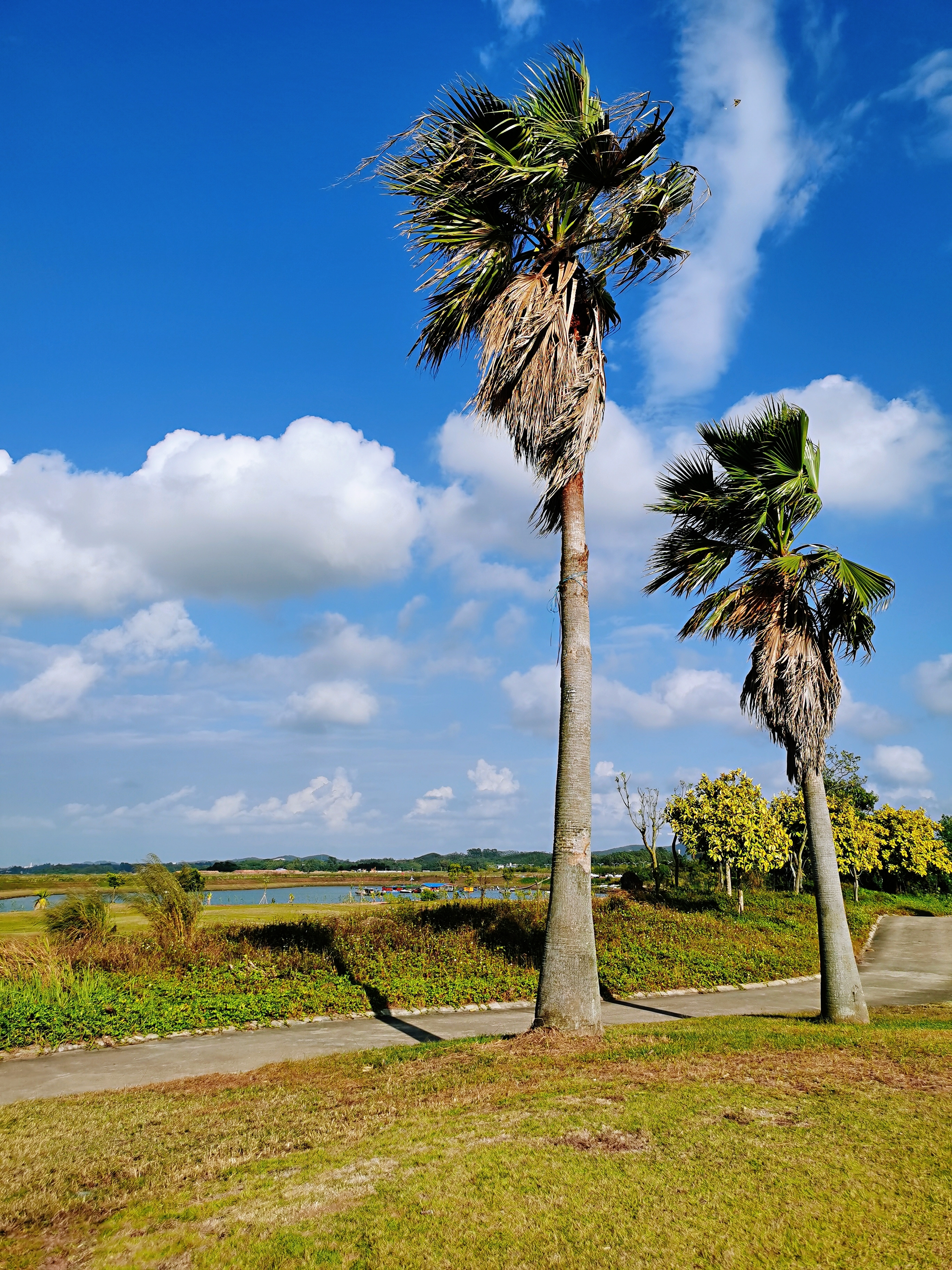 钦州市滨海公园风光掠影