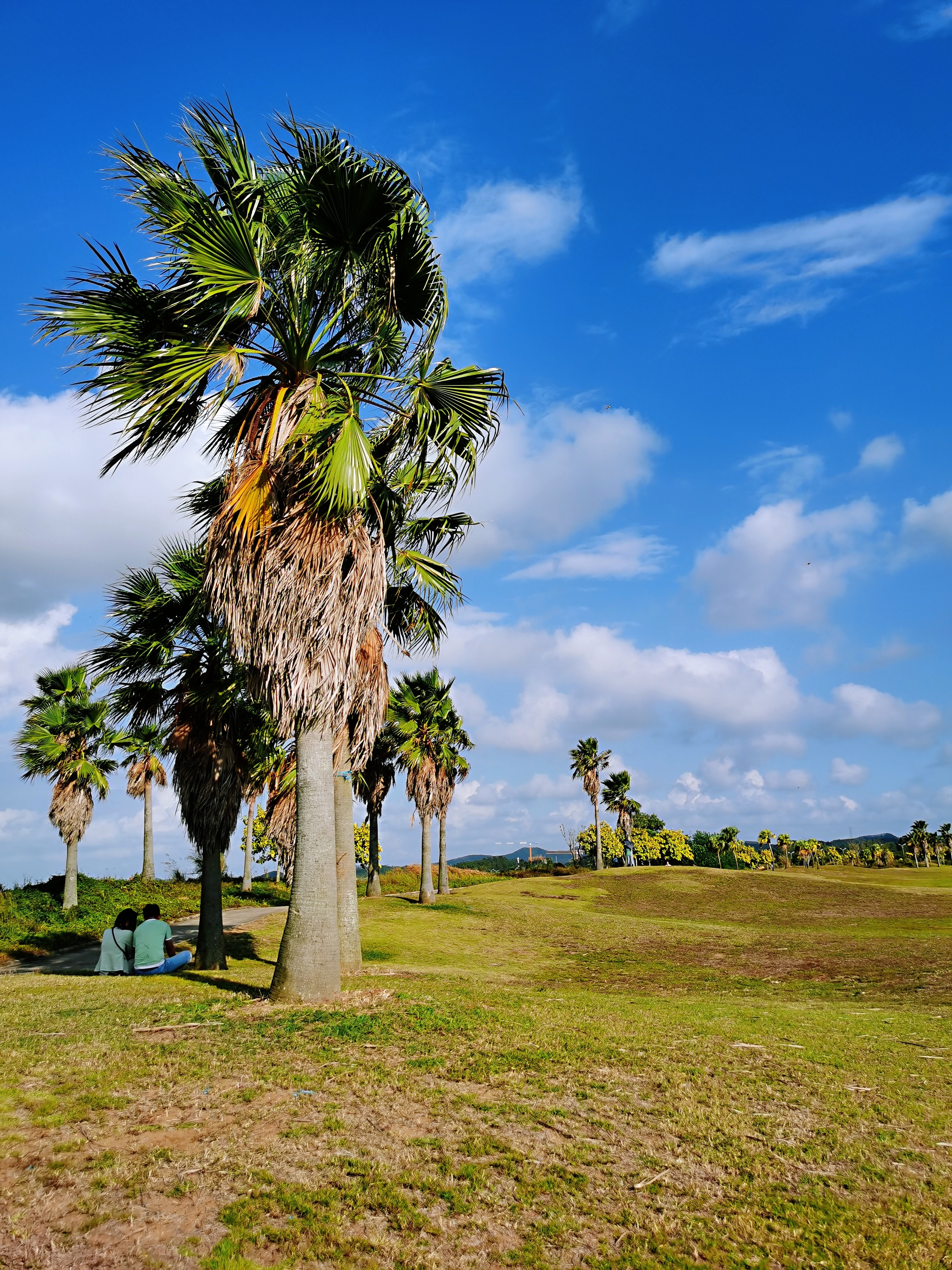 钦州市滨海公园风光掠影