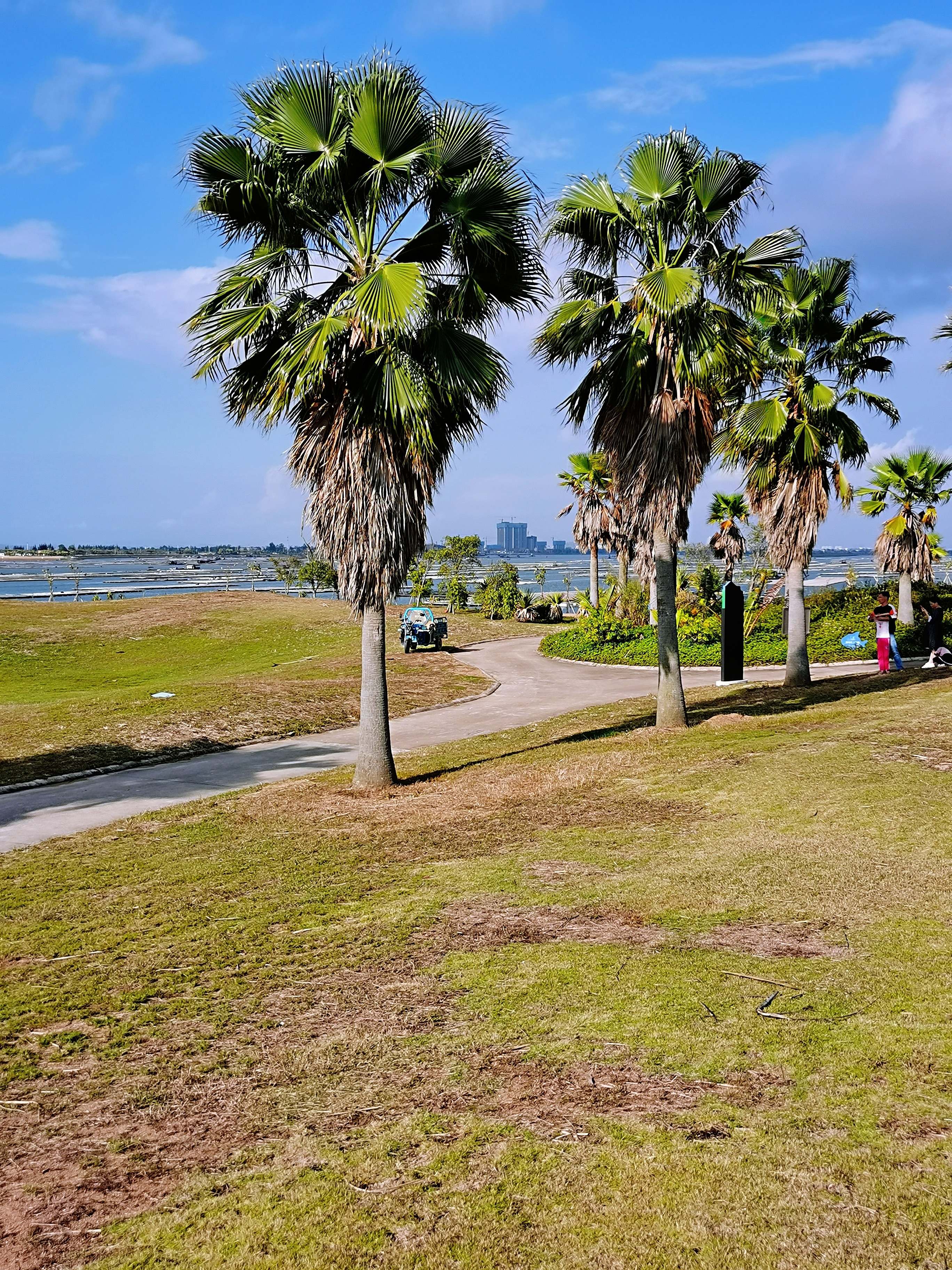 钦州市滨海公园风光掠影