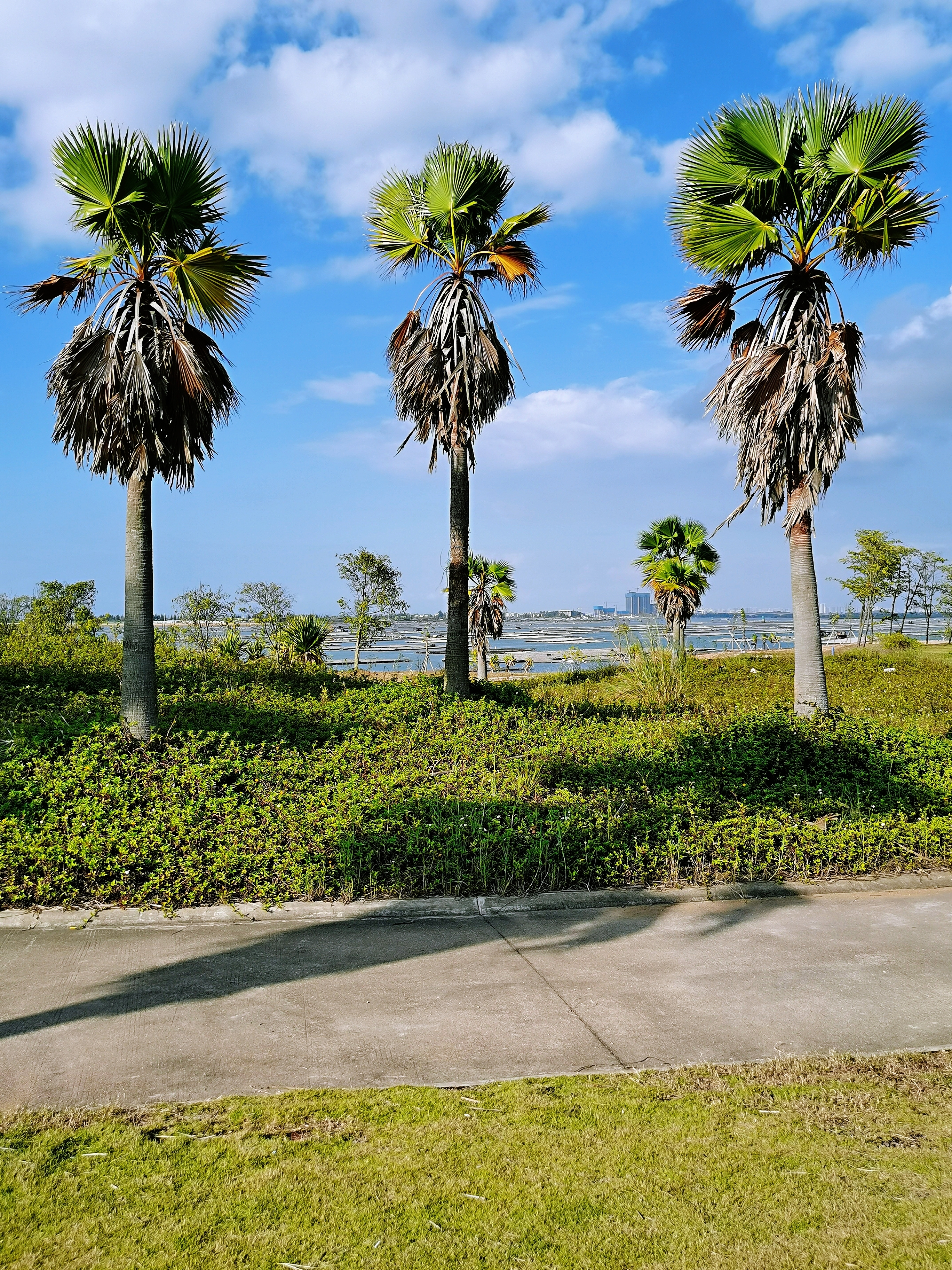 广西钦州市滨海公园图片